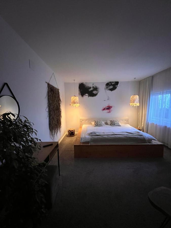 Shard Boutique Hotel-Adult Only Braşov Dış mekan fotoğraf