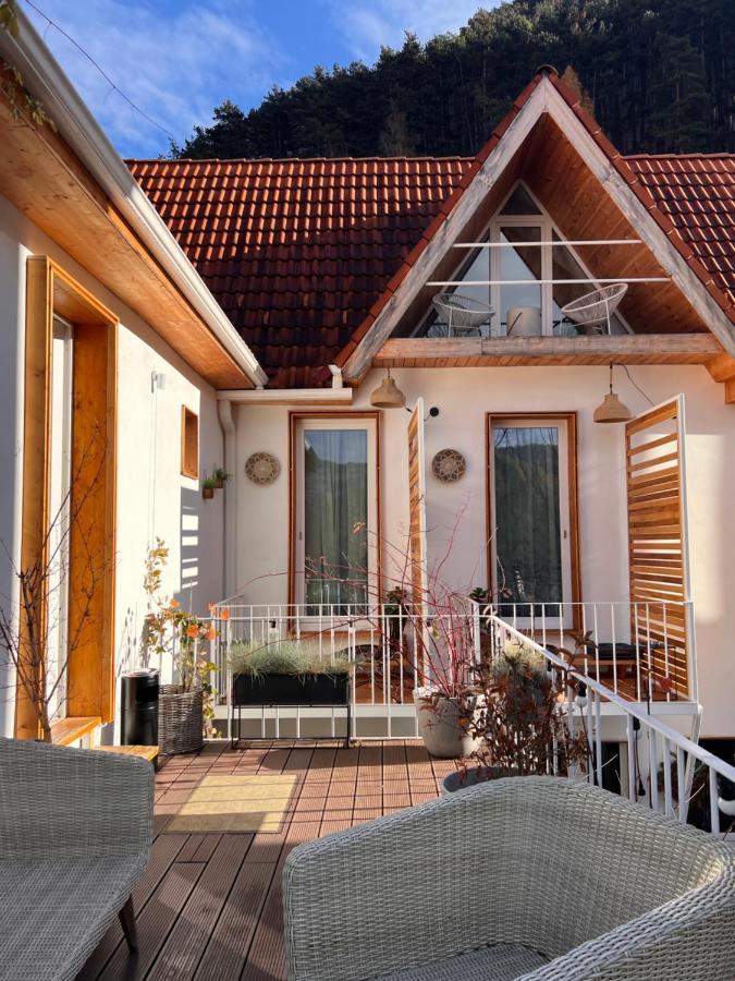 Shard Boutique Hotel-Adult Only Braşov Dış mekan fotoğraf