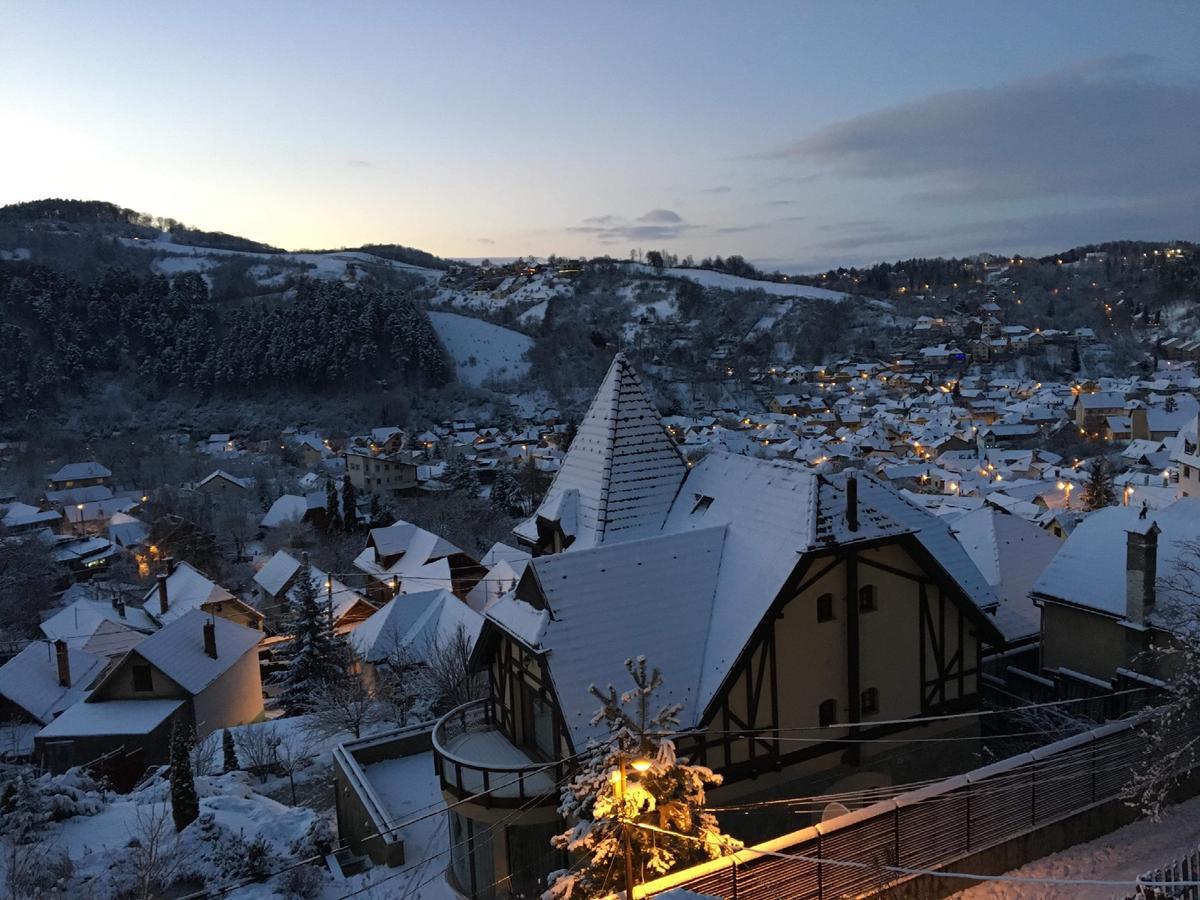 Shard Boutique Hotel-Adult Only Braşov Dış mekan fotoğraf